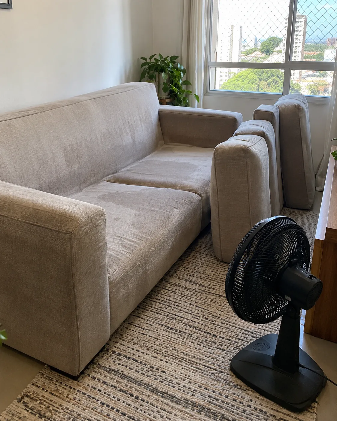Sofá recém-lavado secando, com ventilador ligado ao lado.